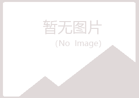 兰山区香寒金融有限公司